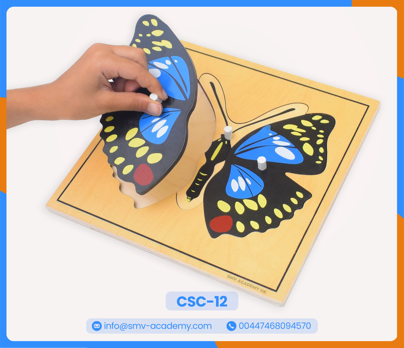 بازل أجزاء الفراشة - Parts of a Butterfly Puzzle